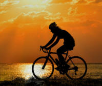 Free Cyclist Bicycle Racing Cyclist photo and picture
